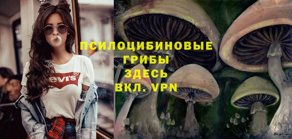 дурь Алексеевка