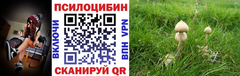 Галлюциногенные грибы Psilocybine cubensis  купить наркотики цена  Нефтекумск 