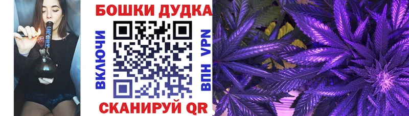 цена наркотик MEGA зеркало Конопля AK-47 Нефтекумск